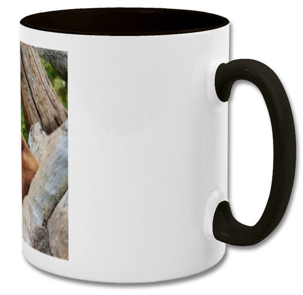 Mug| Approach me at your own risk i have not finished having my coffee|  double coloured mug