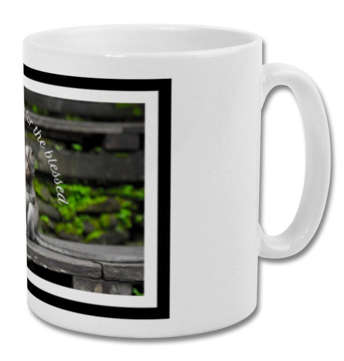 Mug| Friendship is a gift for the blessed| Monkey friendship mug