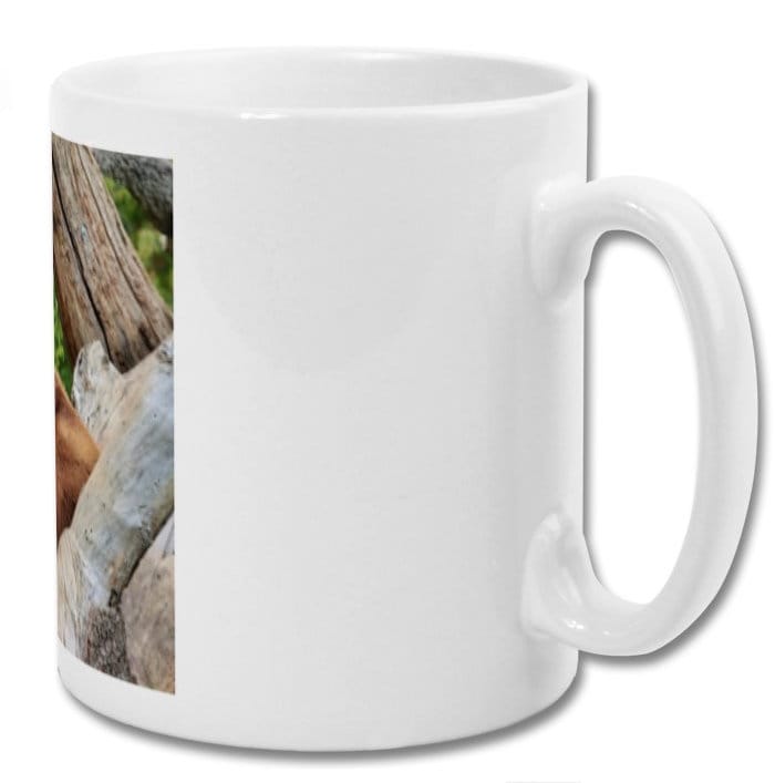Mug| Approach me at your own risk i have not finished drinking my coffee| Bear mug