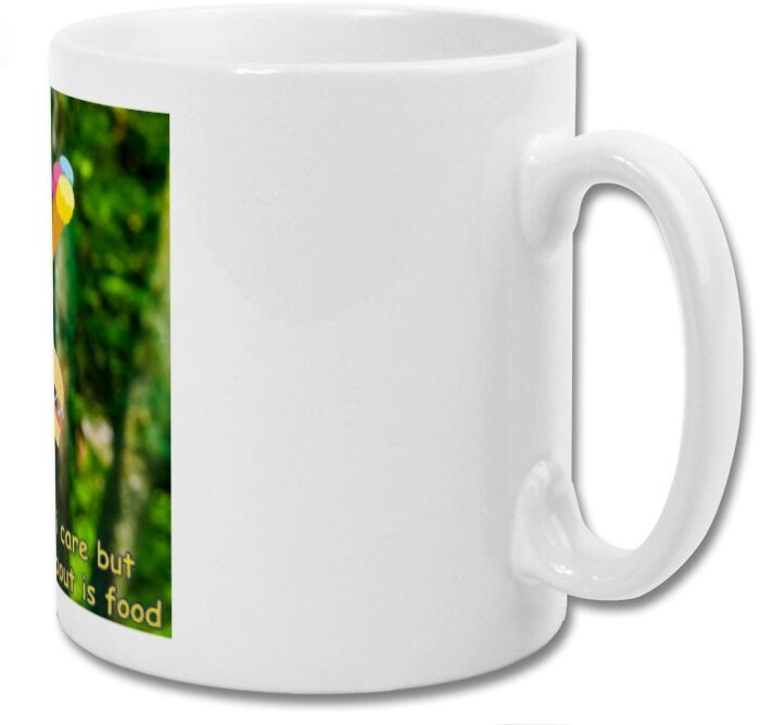 Mug| I look like i care but all i care about is food| Funny giraffe mug