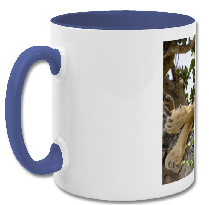 Lazy Lion| Hard work is so overrated chill out and enjoy life| humorous mug|double coloured