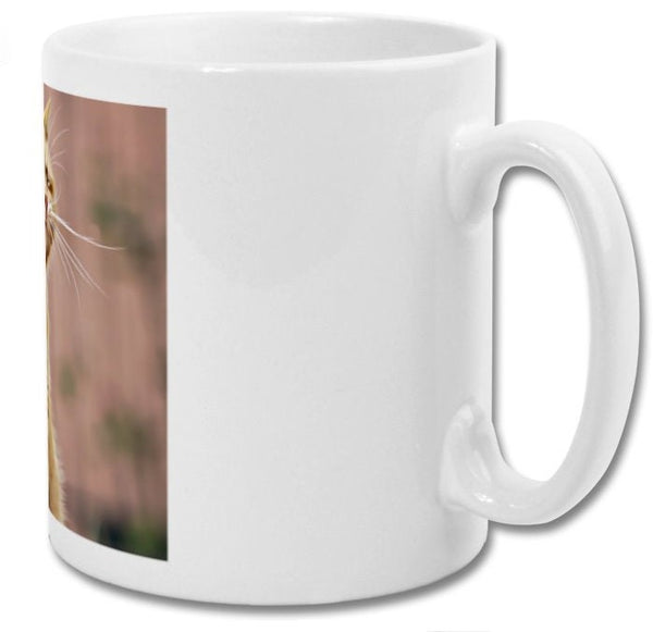 Mug| Officially done with stupidity| Funny cat