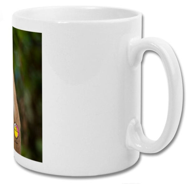 Mug| Did someone say dessert| cheeky monkey mug