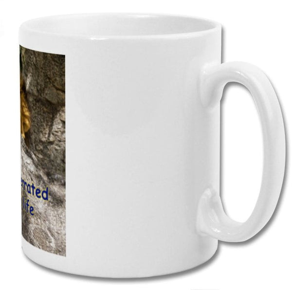 Mug| Hardwork is so overrated chill out and enjoy life| Lazy lion mug