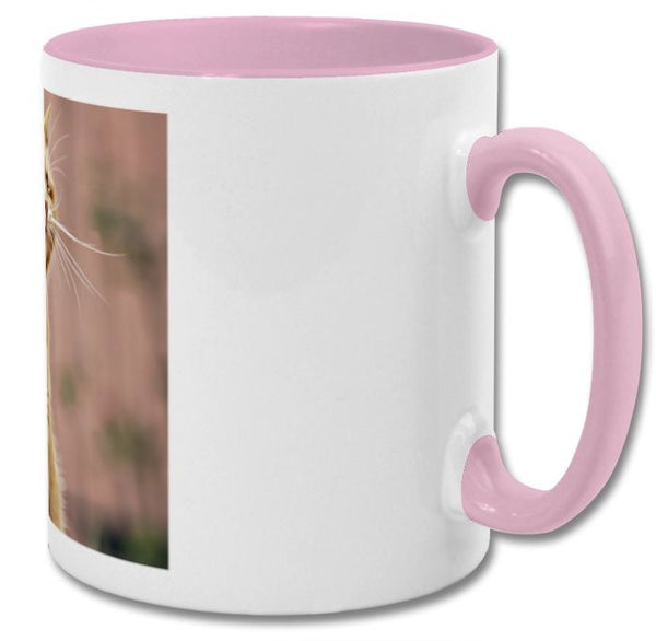Mug| Officially done with stupidity| Funny cat mug double coloured mug - Pink