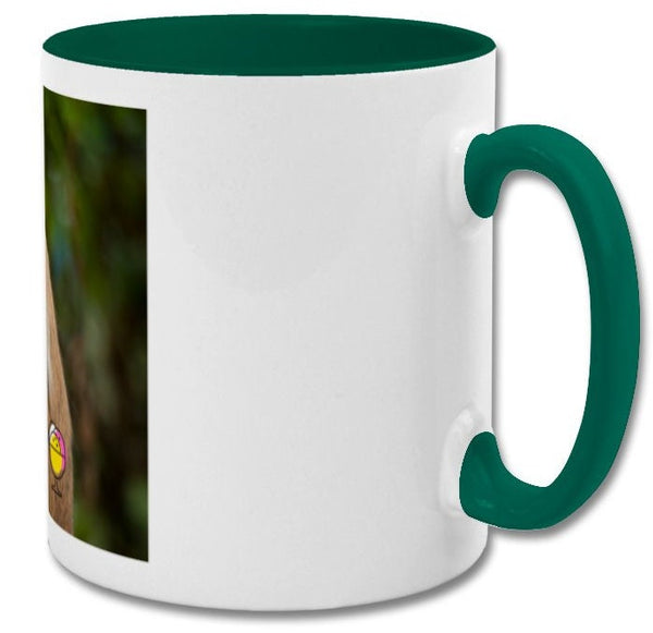 Cute Monkey Mug | Did someone say dessert mug| double coloured green mug
